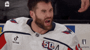 Stanley Cup Playoffs Crying GIF by NHL