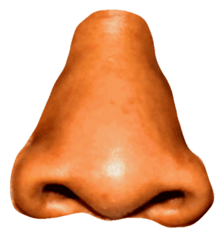 jay-z nose Sticker by PIZZASLIME