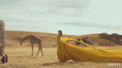 taylor swift animated gif GIF by Vevo