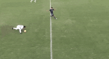GIF by Seattle Sounders