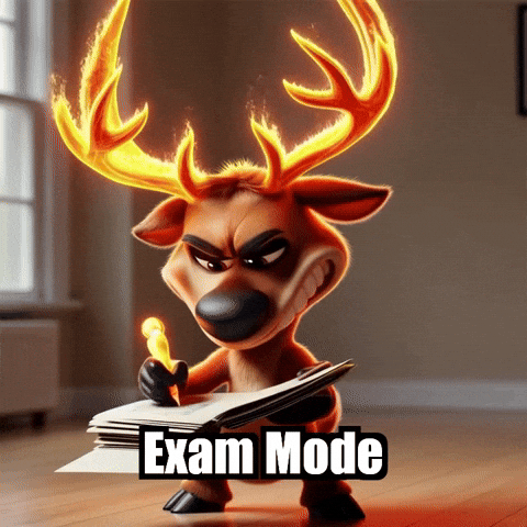 Library Exam GIF by elkijahspark