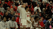 St Johns Flex GIF by St. John's Red Storm