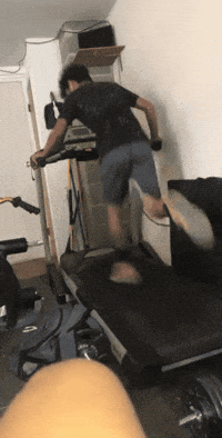 Angry Bird GIF by La Salle Track & Field / XC