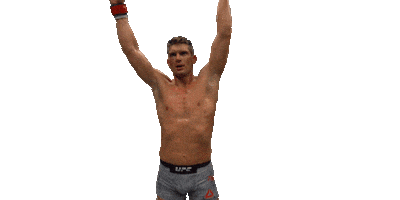 ufc mma Sticker by Stephen "Wonderboy" Thompson