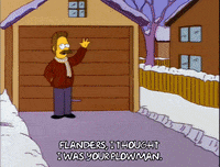 homer simpson GIF