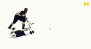 Go Blue GIF by Michigan Athletics