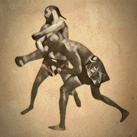 Kamaru Usman GIF by Sonny Brown Breakdown