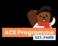 KaseTravel paris kasetravel aceprogramme GIF