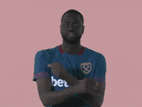 celebrating premier league GIF by West Ham United