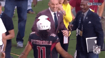 2018 Nfl Football GIF by NFL