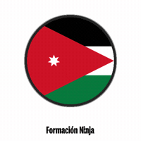Flag Jordan GIF by Formación Ninja