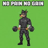 Dog Workout GIF by SkyDog Social