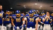 South Dakota State Celebration GIF by SDSU Football