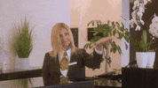 PortorozinPiran vacation hotel come here hurry up GIF