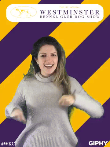 wkcdogshow GIF by Westminster Kennel Club