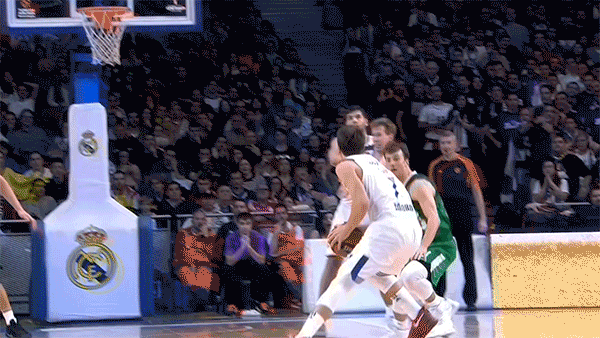 real madrid success GIF by EuroLeague