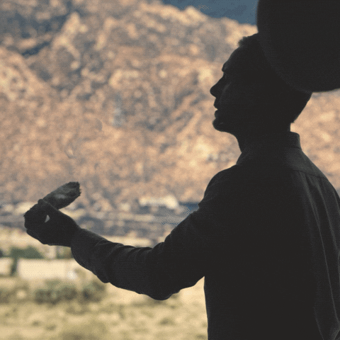 chambersnetflix giphyupload netflix chambers chambers netflix GIF