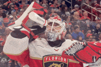 Stanley Cup Playoffs Water GIF by NHL