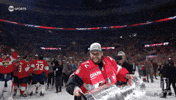 Stanley Cup Playoffs Win GIF by NHL