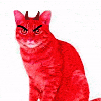 Cat Demon GIF