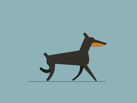 Millmotion giphyupload animation dog illustration GIF