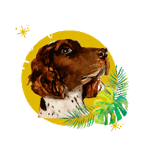 Dog Puppy Sticker