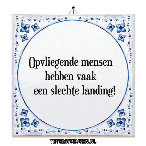 Humor Landing Sticker by Tegelspreuken.nl