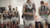 portadelaidefc afl port adelaide power port adelaide football club GIF