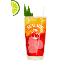 Bay Breeze Party Sticker by Malibu Rum