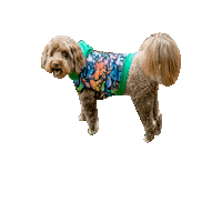 Happy Dog Sticker by Geekster Pets