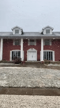 Snow Falling GIF by Tricia  Grace