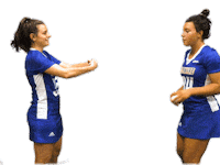 Womens Lacrosse Love Sticker by Delaware Blue Hens