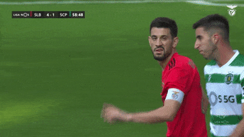 Sl Benfica No GIF by Sport Lisboa e Benfica