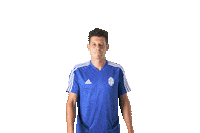 Football Yes Sticker by FORTUNA:LIGA