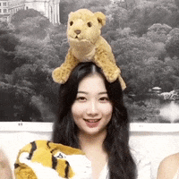 K-Pop Hello GIF