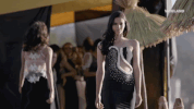 viceland GIF by STATES OF UNDRESS