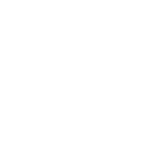 BlackVNeck v tech house bass house dirtybird Sticker