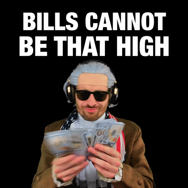 Bills Expenses GIF