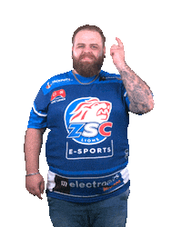 Happy Nhl Sticker by ZSC Esports