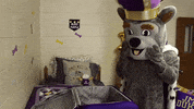 Travel College GIF by James Madison University