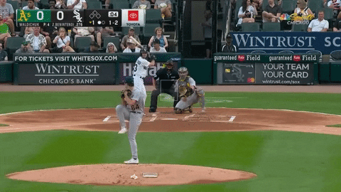Home Run GIF