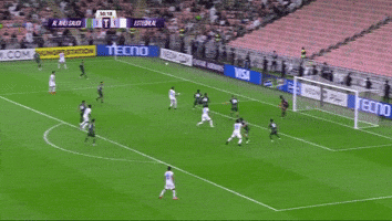 Afc Taj GIF