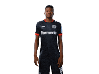 Bayer 04 Werkself Sticker by Bayer 04 Leverkusen