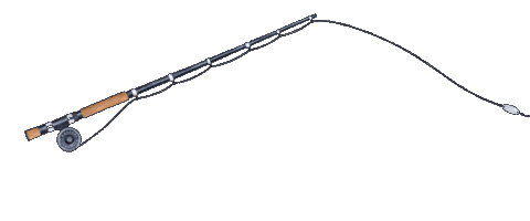 National Parks Fishing Sticker by National Park Foundation