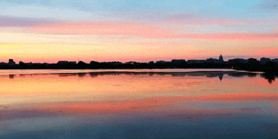 wisconsin GIF