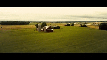 wisconsin GIF