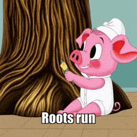 Tree History GIF by The Pigasso