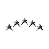5-Star Sticker by Stray Kids