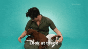 Dog Look At Them GIF by BuzzFeed