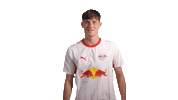 Vamos Red Bull Sticker by RB Leipzig